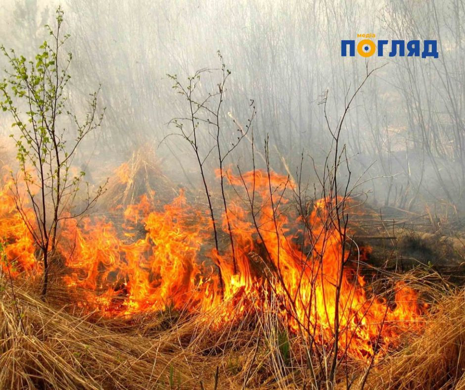 У Києві очікується надзвичайний рівень пожежної небезпеки (ФОТО) У Києві очікується надзвичайний рівень пожежної небезпеки (ФОТО) - зображення